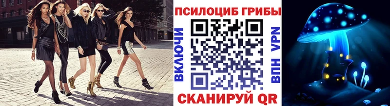Псилоцибиновые грибы Psilocybe  hydra как зайти  Заринск 
